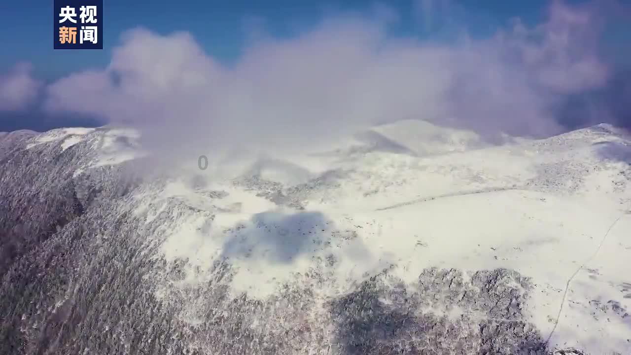 跌不完,根本就跌不完